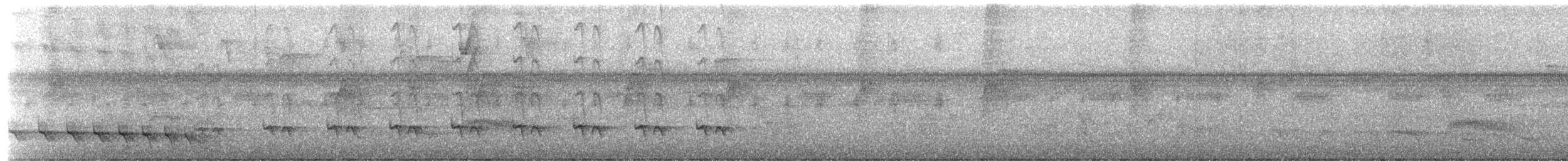 Stripe-chested Antwren - ML650612787