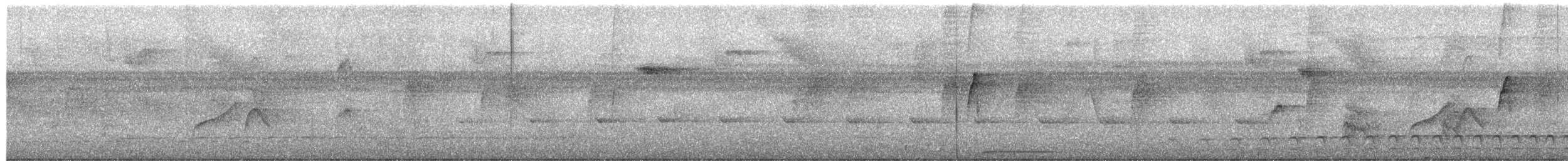 מין לא מוכר - ML650612827