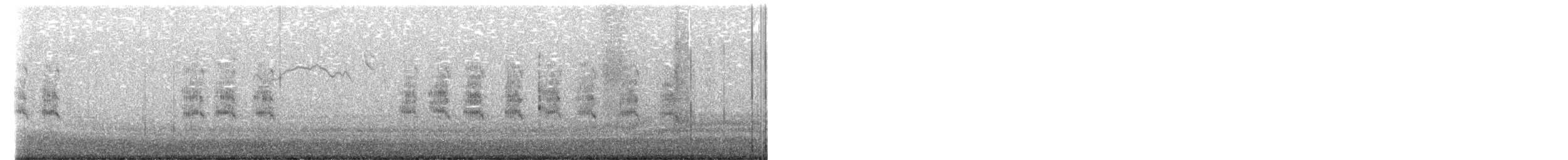 Forster's Tern - ML650612970