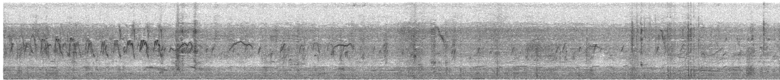 plameňák malý - ML650613884