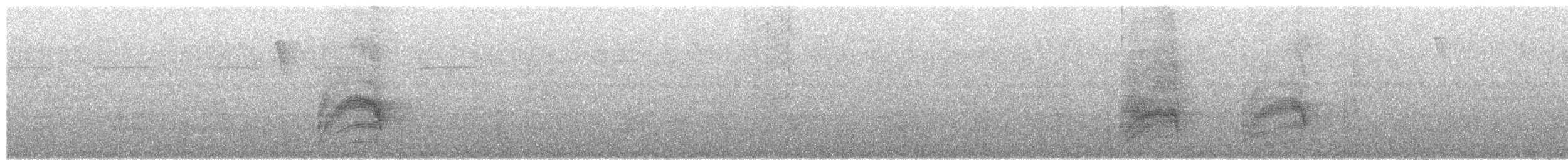 špaček bělokrký - ML650618140