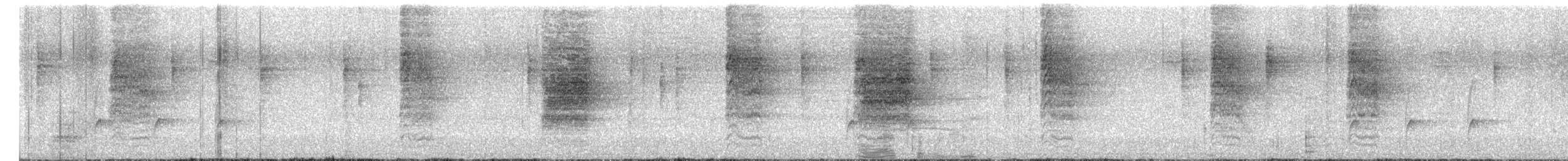 Greater Pewee (Mexican) - ML650619234