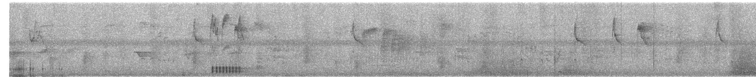 Sulawesi Pygmy Woodpecker - ML650619484