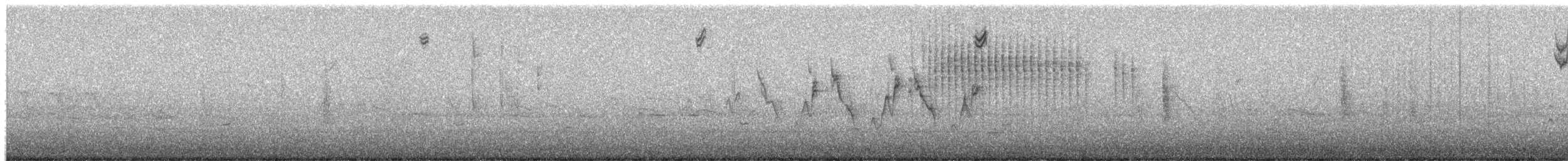 White-crowned Sparrow - ML650620662