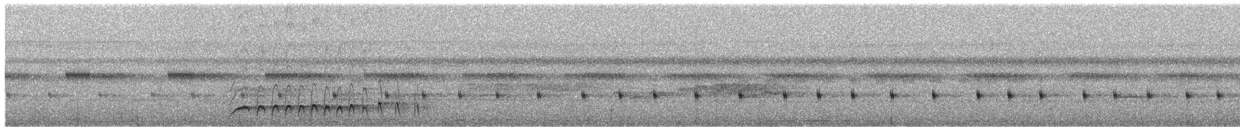 Ночнар острівний - ML650621574