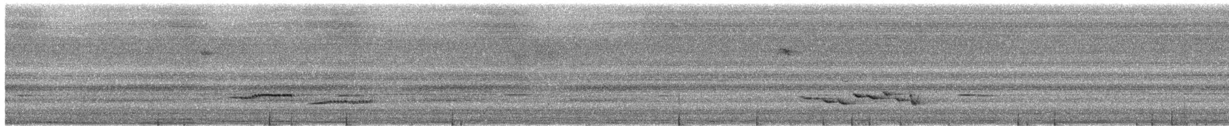 Sulawesi Blue Flycatcher (Sulawesi) - ML650621779