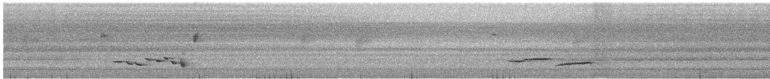 Sulawesi Blue Flycatcher (Sulawesi) - ML650621781