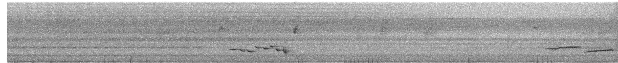 Sulawesi Blue Flycatcher (Sulawesi) - ML650621782