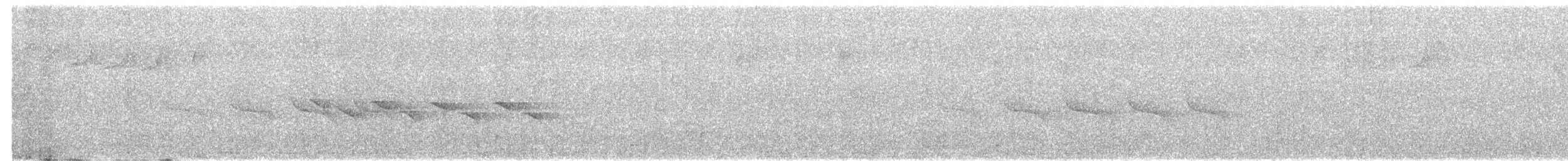 passereau sp. - ML650621795