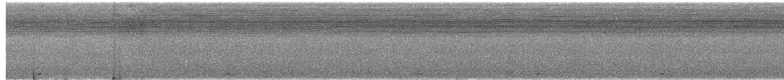 Barbu à plastron rouge - ML650621802