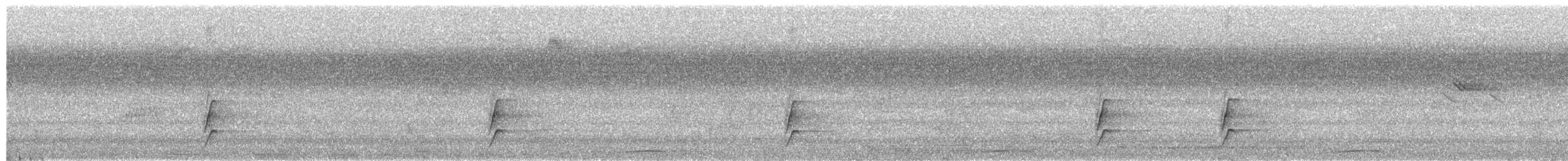 Langrayen à tête noire - ML650621896