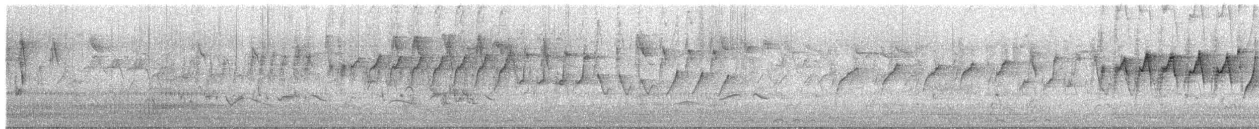 Souimanga asiatique - ML650621944