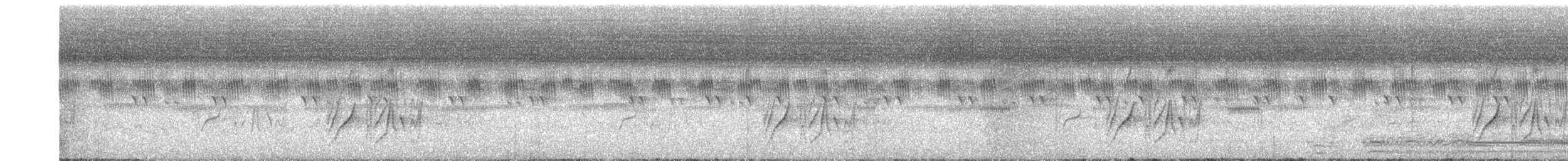 Tyran audacieux - ML650622009