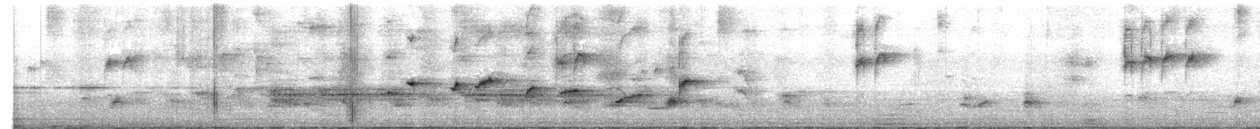 Rhipidure à poitrine tachetée - ML650622078