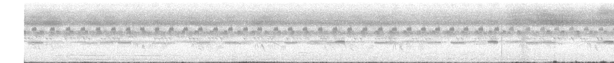 Élénie à bec court - ML650622185