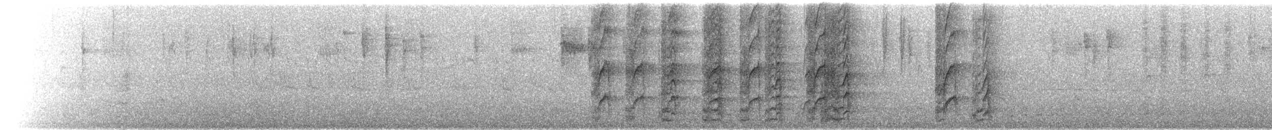 Perruche de Pennant (adelaidae/subadelaidae) - ML650622269