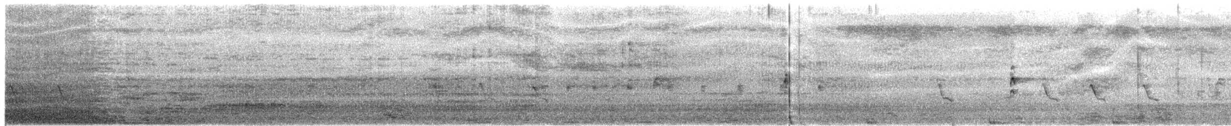 Râle strié - ML650622381