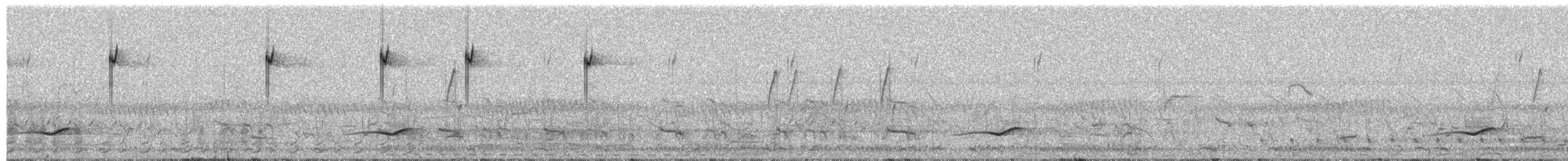 Southern Boubou - ML650624321