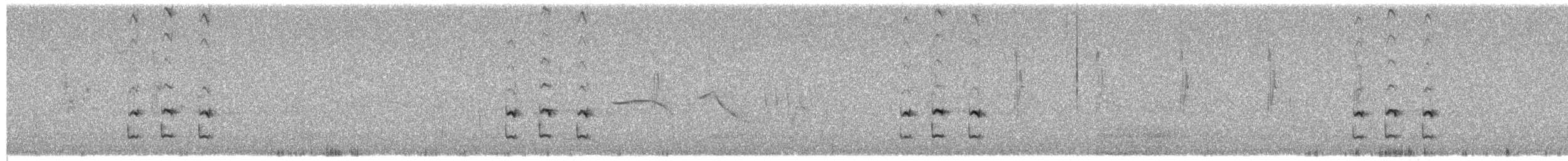 Puna Tapaculo - ML650624870