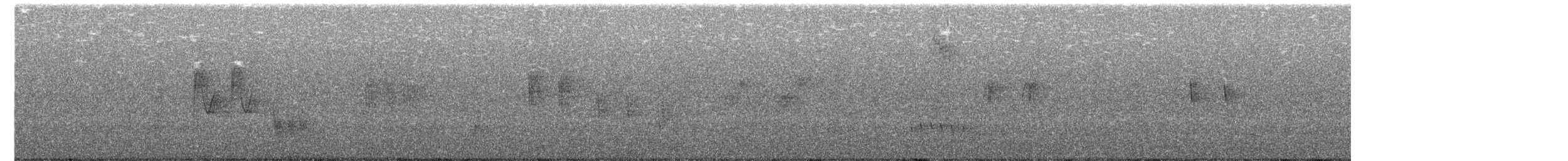 skorec asijský - ML650626920