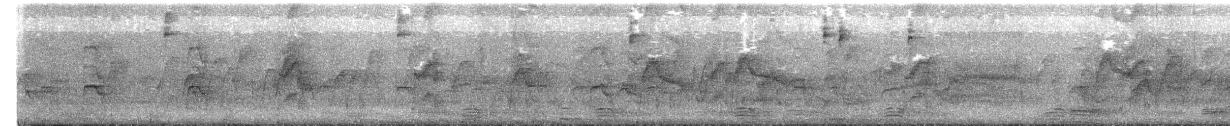 strnad lesní - ML650627088