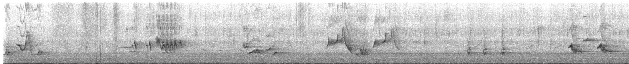 チャイロツグミモドキ - ML650627663