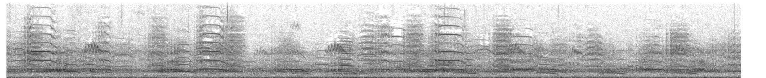 jeřáb bělohlavý - ML650627835