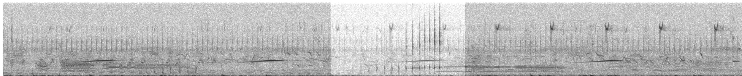 Striped Crake - ML650629728