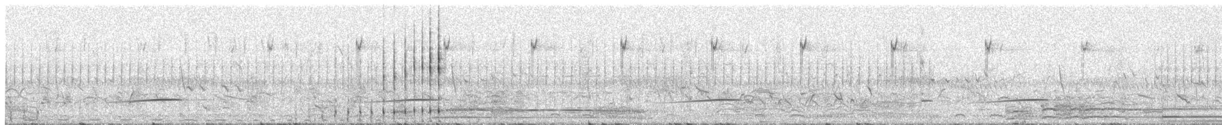 Lesser Moorhen - ML650629819