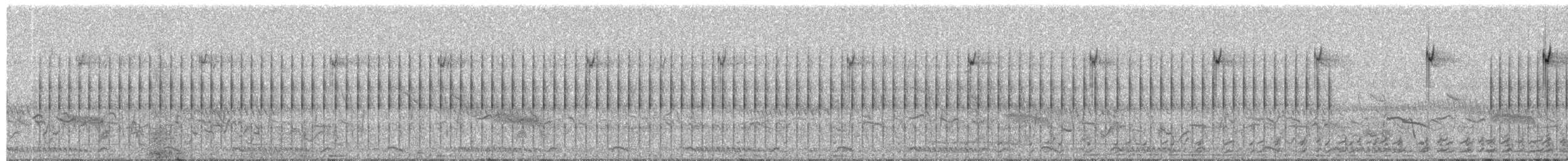 Striped Crake - ML650630185