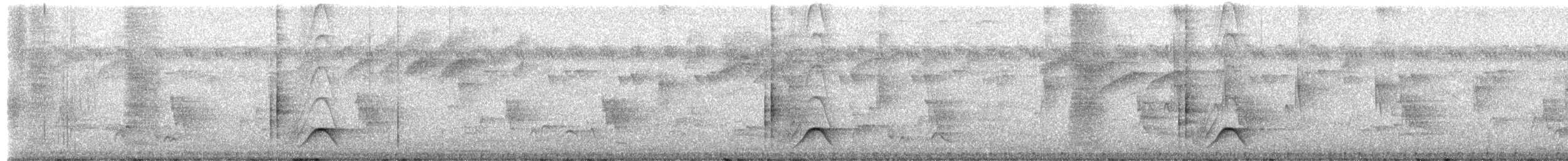 Кубла строката - ML650631488