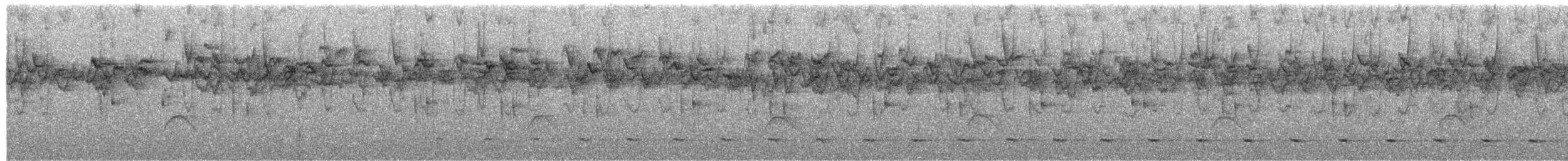 Austral Pygmy-Owl - ML650631721