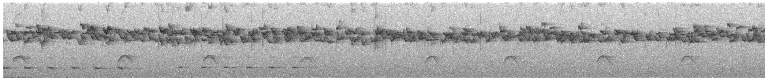 Thorn-tailed Rayadito - ML650631724