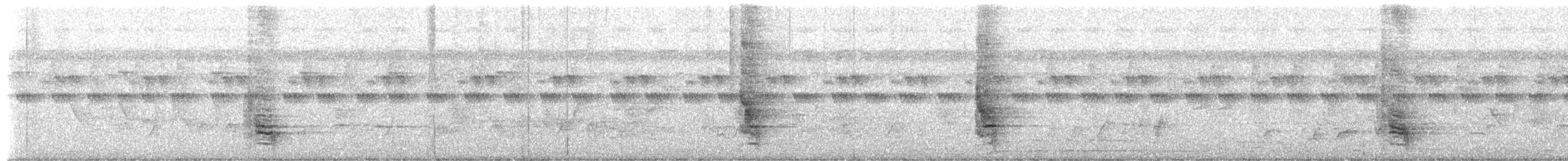 Fork-tailed Drongo - ML650631945