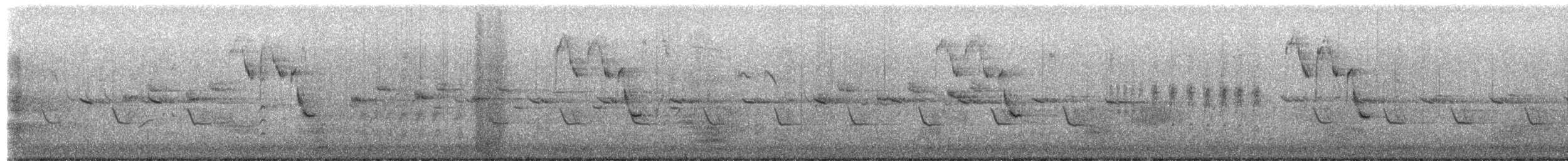 ירגזי מצוי - ML650632516