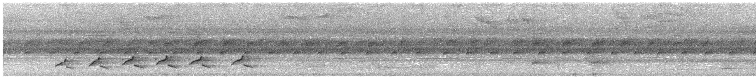 Grayish Mourner - ML650632736