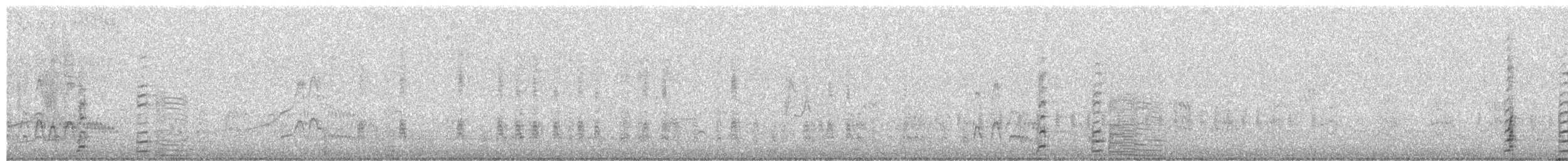 Coscoroba Swan - ML650642470