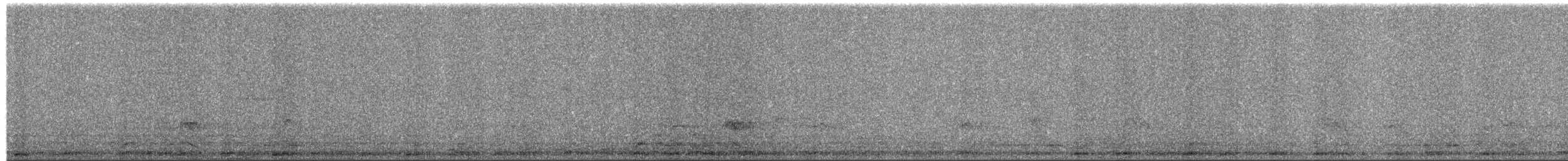 Civetta [gruppo noctua] - ML650642612