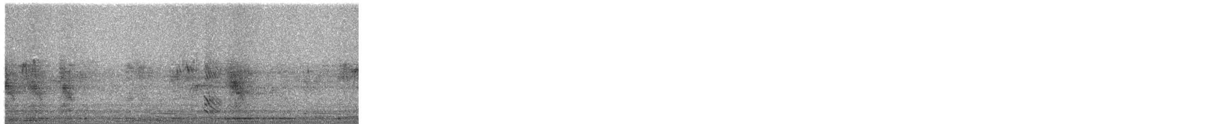 Taccola - ML650642651