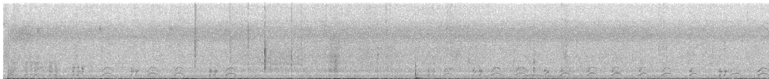 White-breasted Waterhen - ML650642725