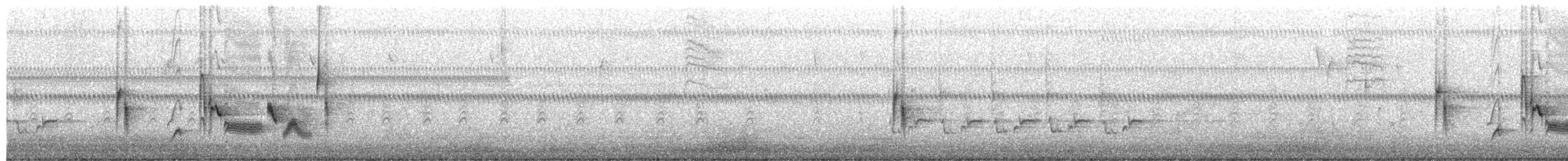 zelenáček bělooký - ML650645480