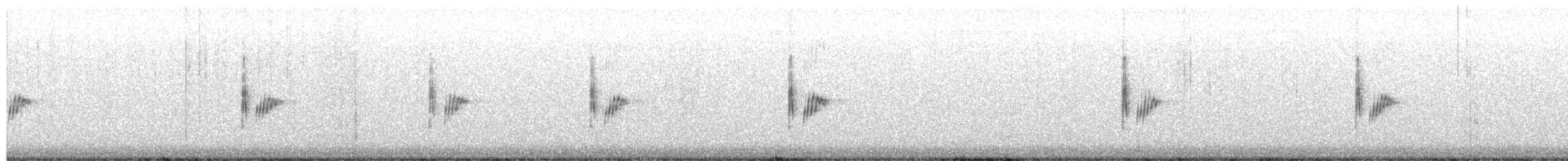 Felsenzaunkönig [obsoletus-Gruppe] - ML650655749