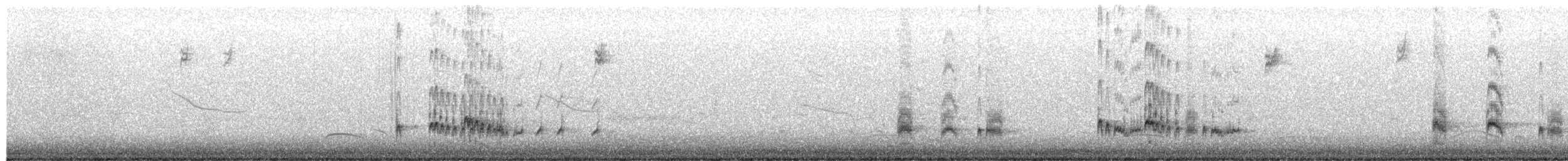 Kalifornienschopftyrann - ML650655904