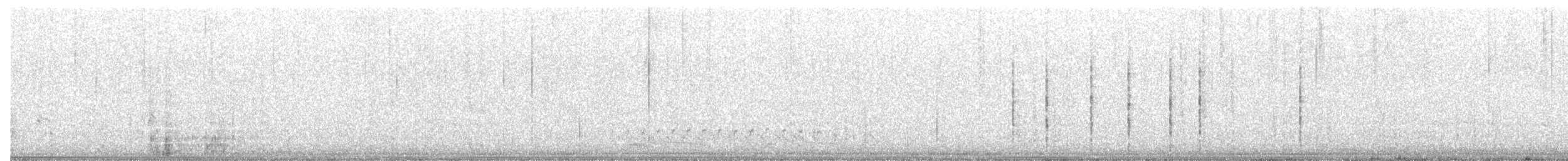 Forster's Tern - ML650657522