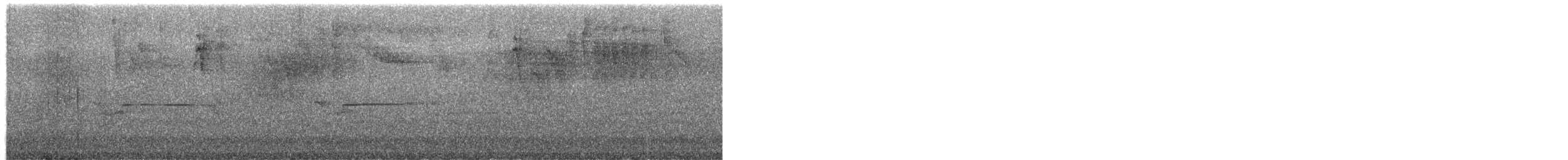 Busardo Aliancho (grupo antillarum) - ML650661595