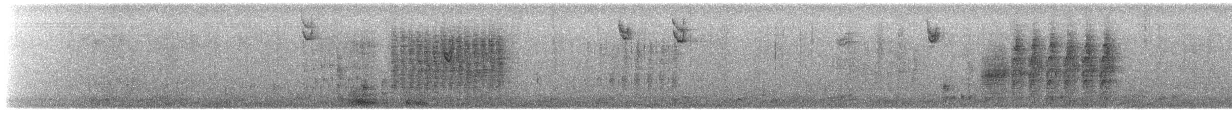 Marsh Wren - ML650665235