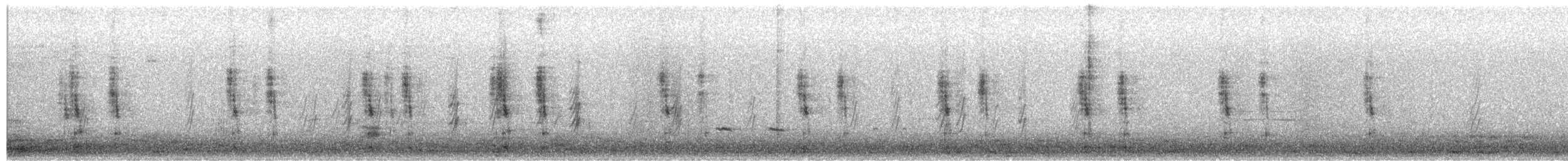 琵嘴鴨 - ML650674613