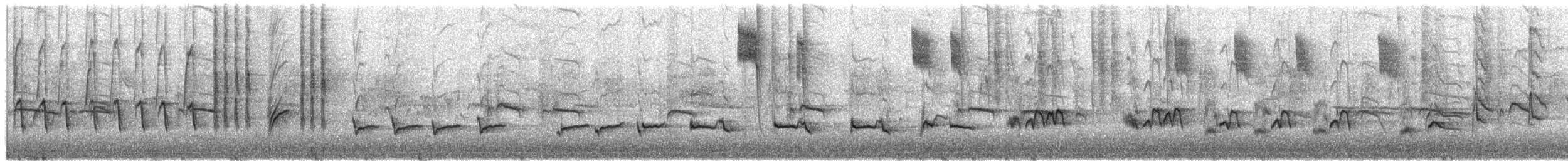 Northern Mockingbird - ML650674767