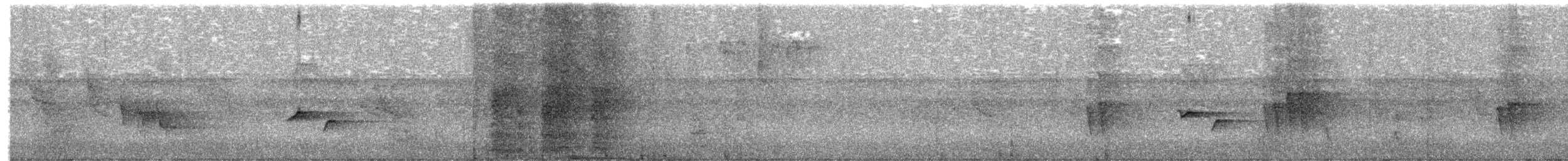 Streaked Spiderhunter - ML650677805