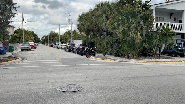 תרנגול בר (מבוית) - ML650678125